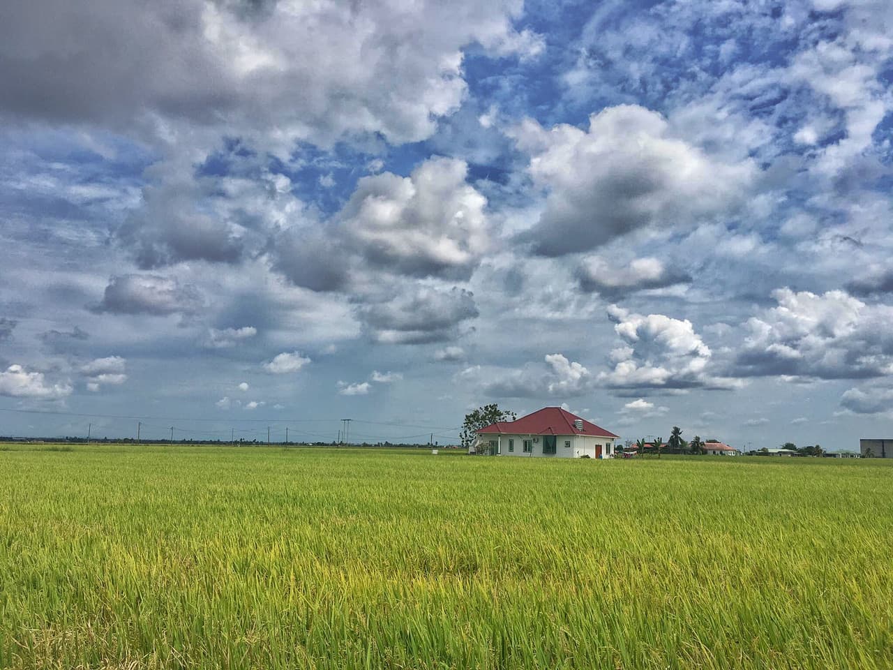 Sky Mirror and Sekinchan Paddy Field Tour from Kuala Lumpur - تصویر 8