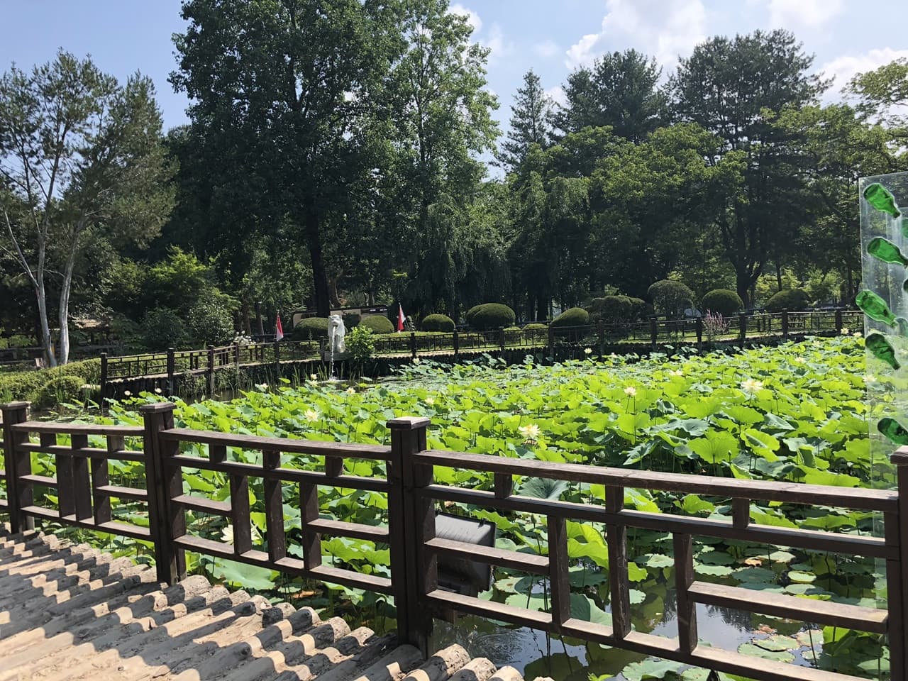 Nami Island and Mount Seorak Full-Day Tour from Seoul - تصویر 7