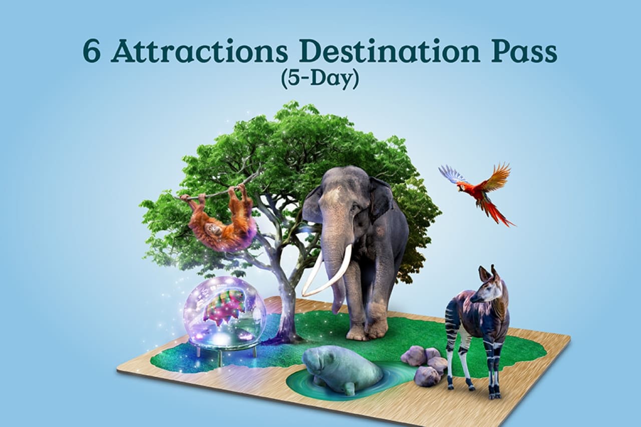 Mandai Destination Pass: Visit Up to 6 Attractions in 1 or 5 Days - تصویر 2