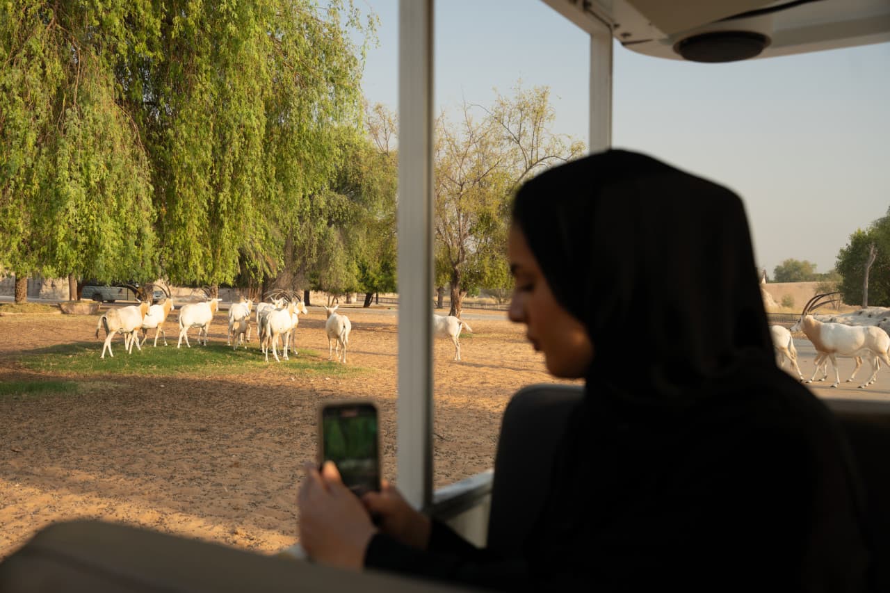 Dubai Safari Park Ticket - تصویر 27