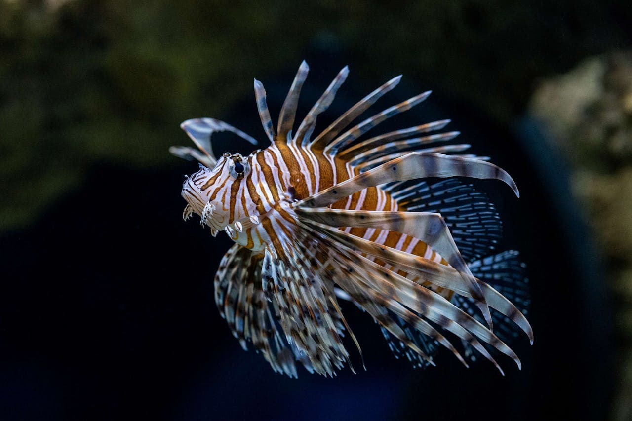 Seattle Aquarium Ticket - تصویر 7