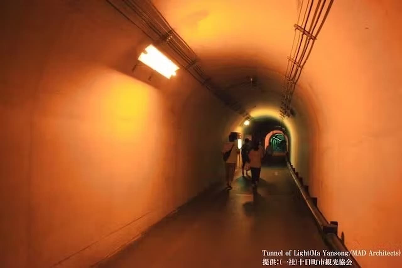 Kiyotsukyo Gorge Tunnel Ticket - تصویر 8