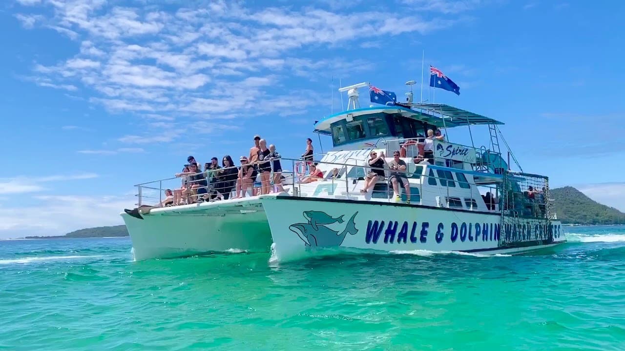 Port Stephens Dolphin Discovery Cruise - تصویر 3