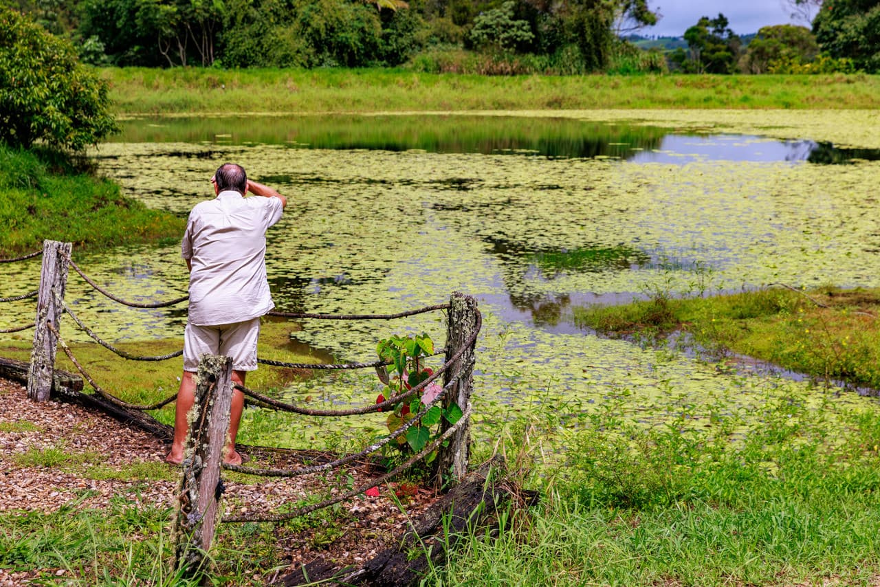 Australian Outback Food and Wine Tasting Tour from Cairns and Northern Beaches - تصویر 8