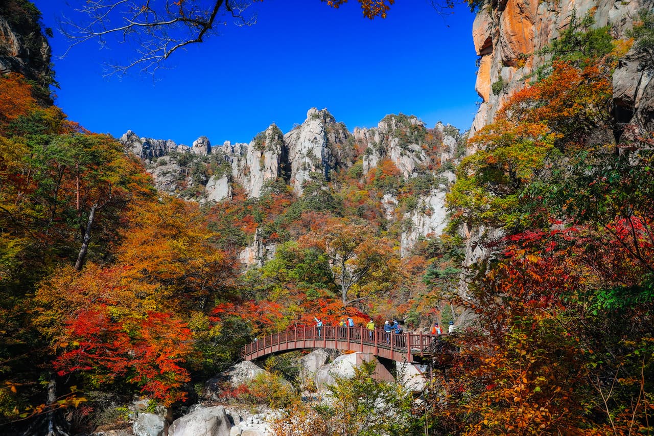 Mt. Seorak National Park Autumn Foliage One Day Tour from Seoul - تصویر 4