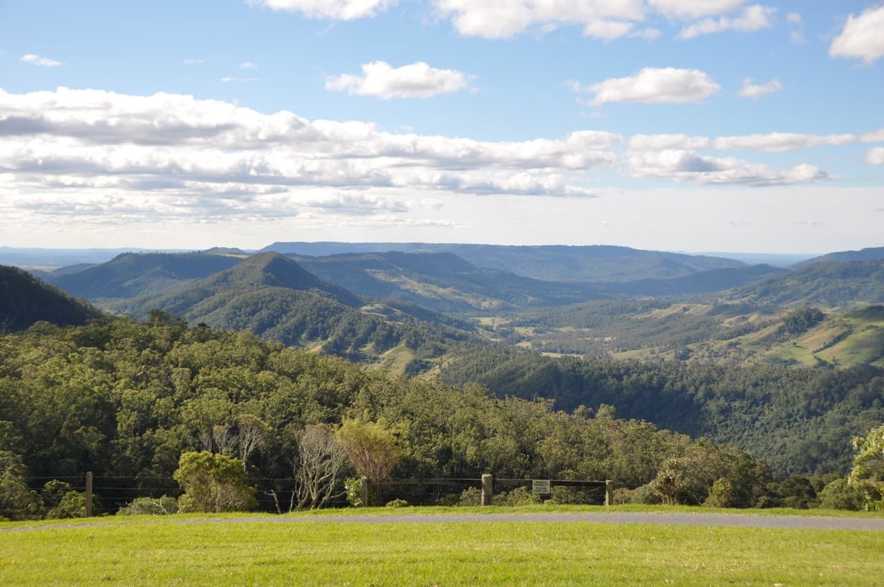 Lamington National Park Tour: O'Reilly's Rainforest Retreat and Canungra Valley Vineyard - تصویر 3