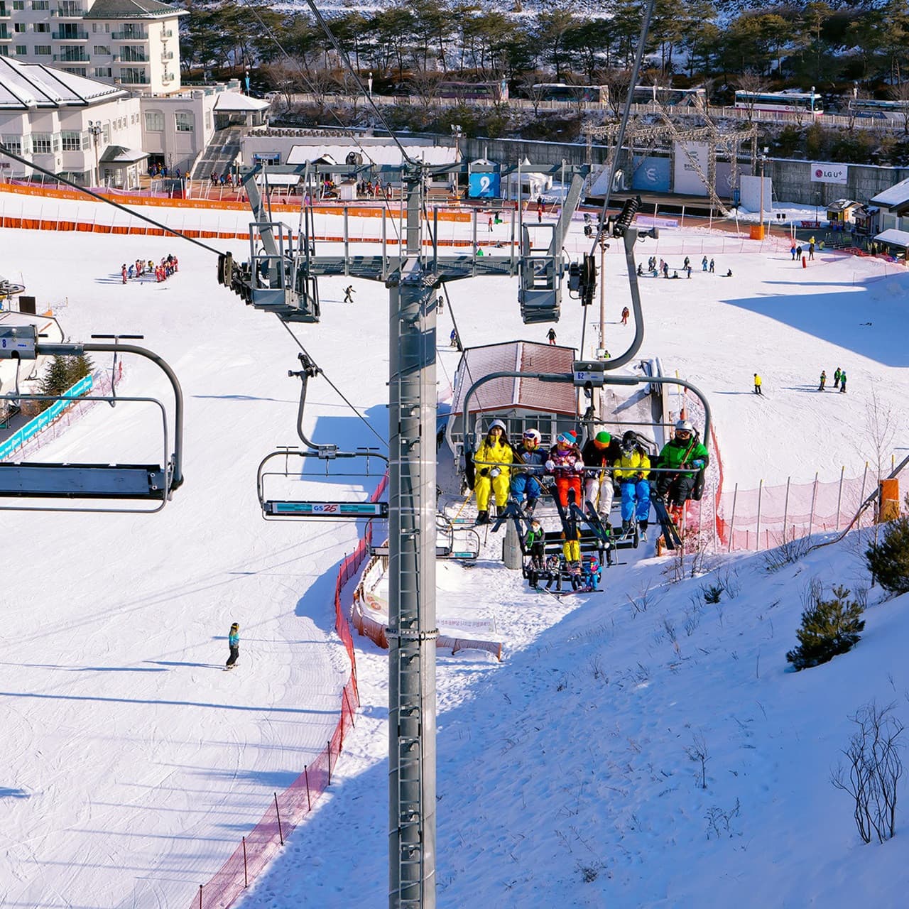 Elysian Gangchon Ski Resort and Nami Island Full-Day Tour from Seoul - تصویر 14