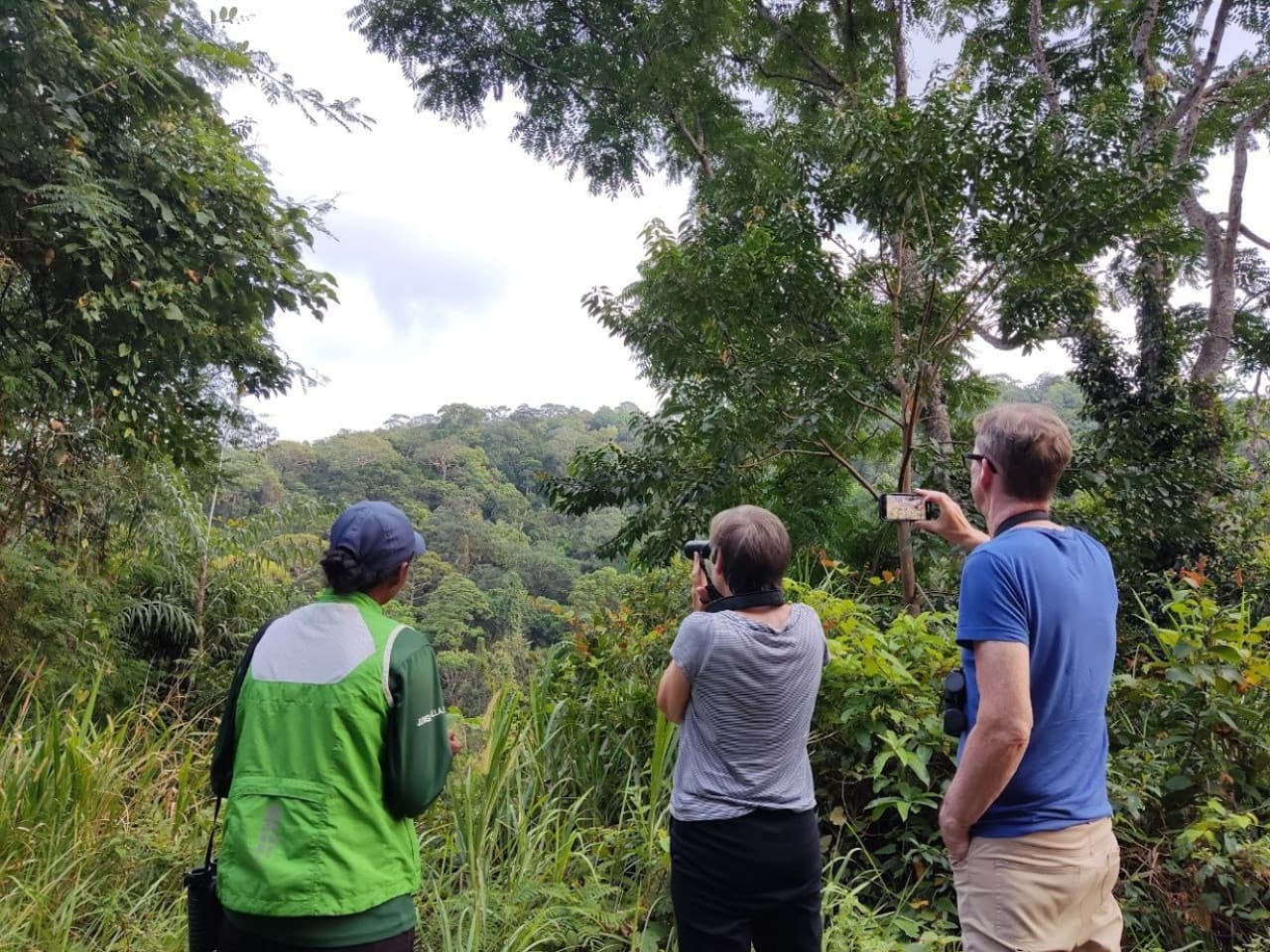 Langkawi Birdwatching Experience Tour - Half Day - تصویر 5