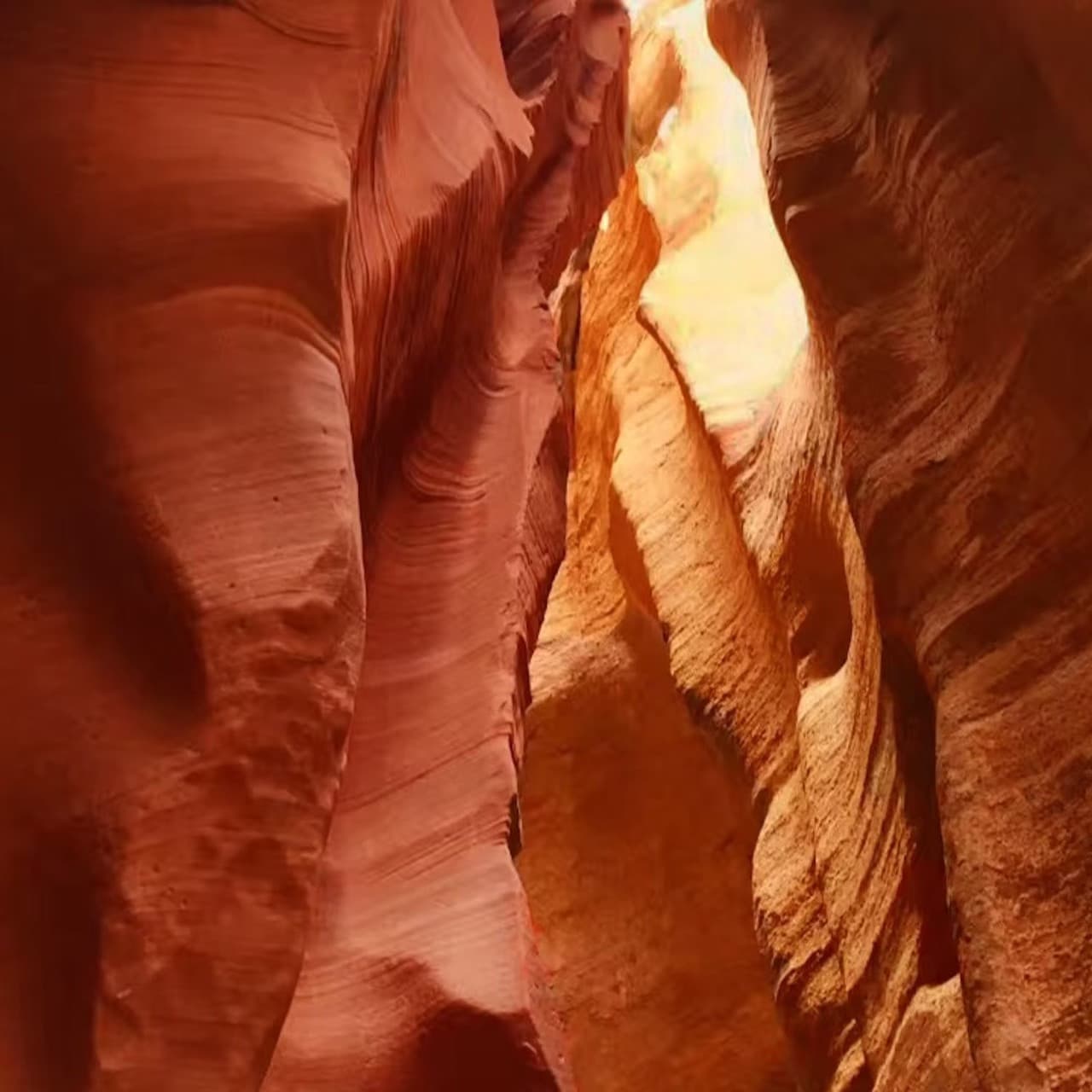 Antelope Canyon X and Horseshoe Bend Tour from Las Vegas - تصویر 5