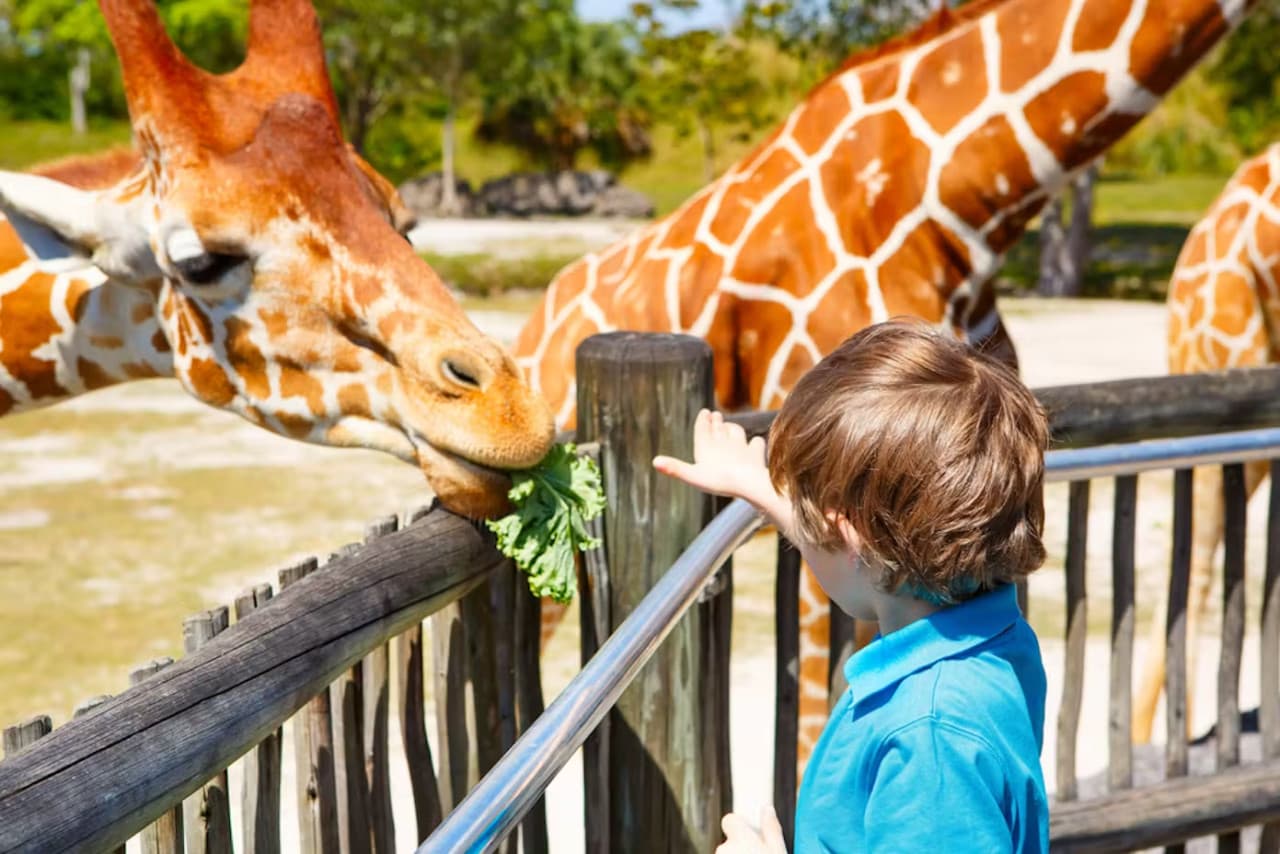 Zoo Miami Ticket - تصویر اصلی