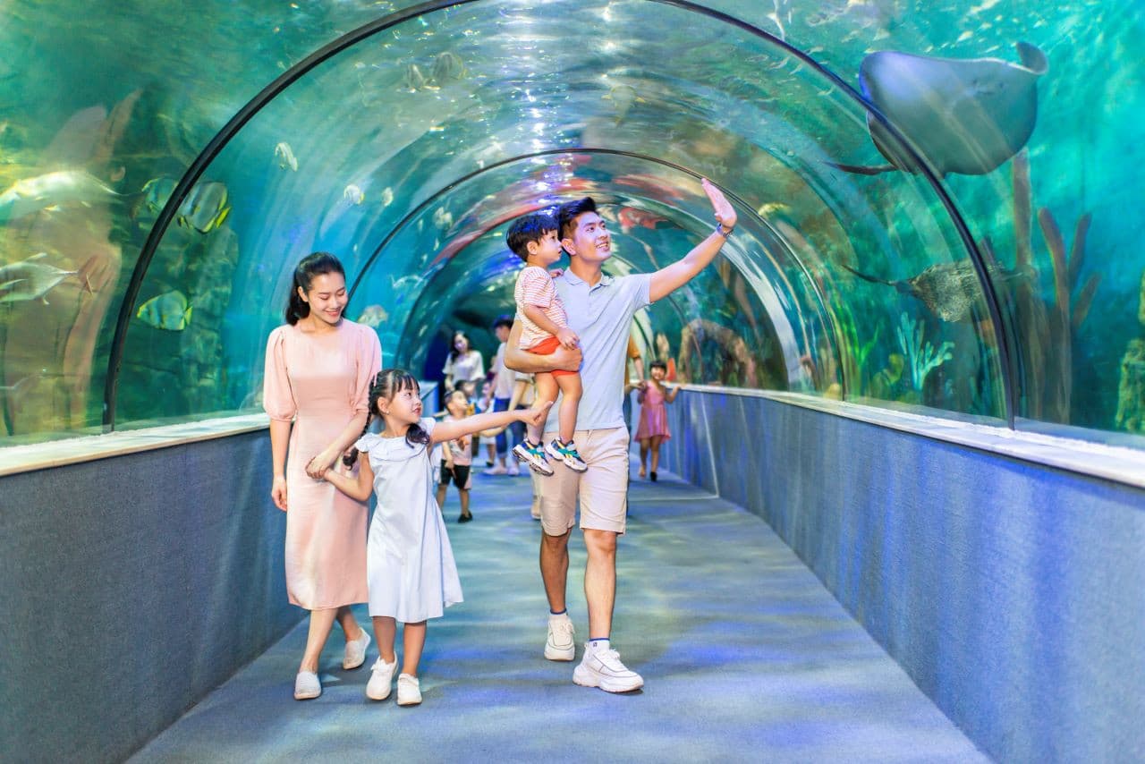 Vinpearl Aquarium Times City Hanoi Ticket - تصویر 4