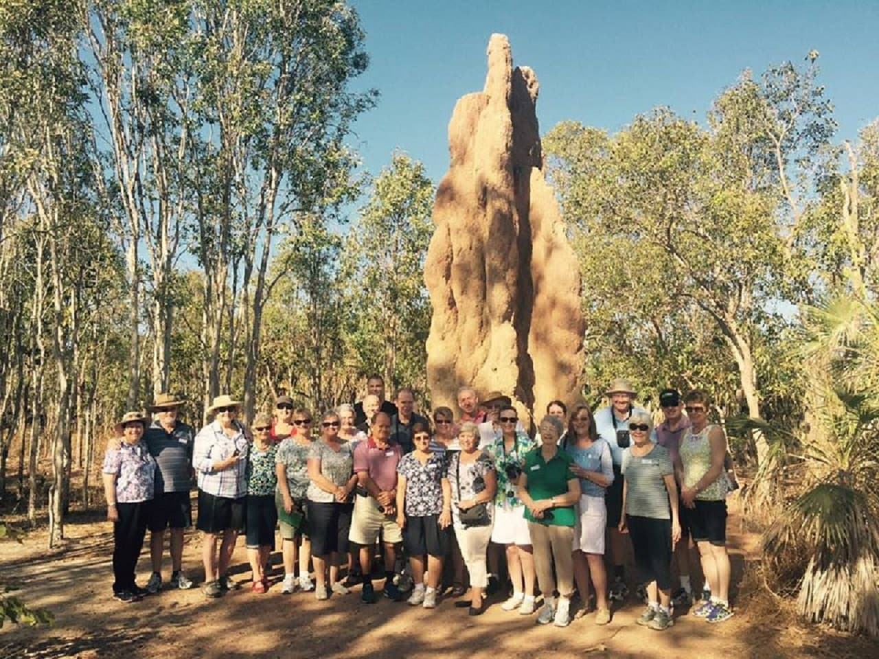 Litchfield National Park and Waterfalls Tour from Darwin - تصویر 8