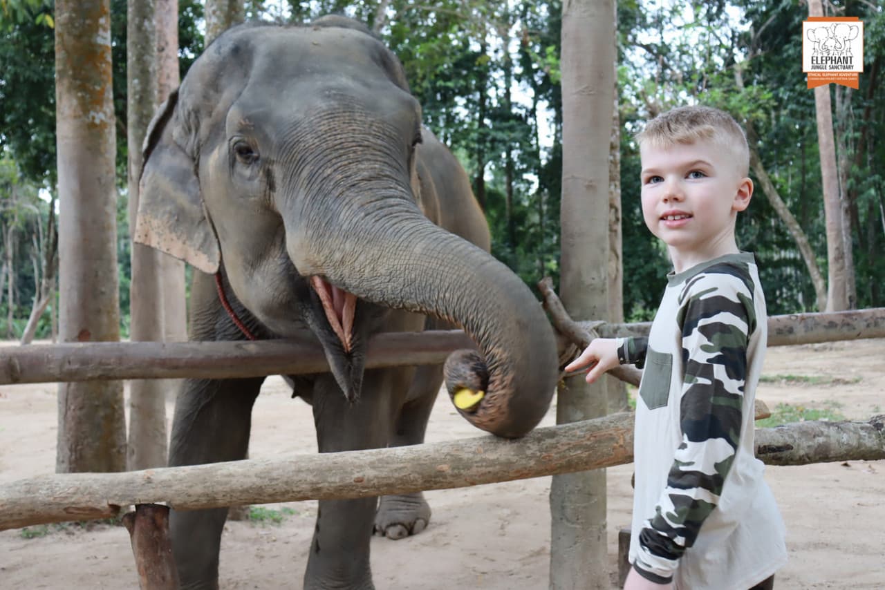 Elephant Jungle Sanctuary Koh Samui - تصویر 5
