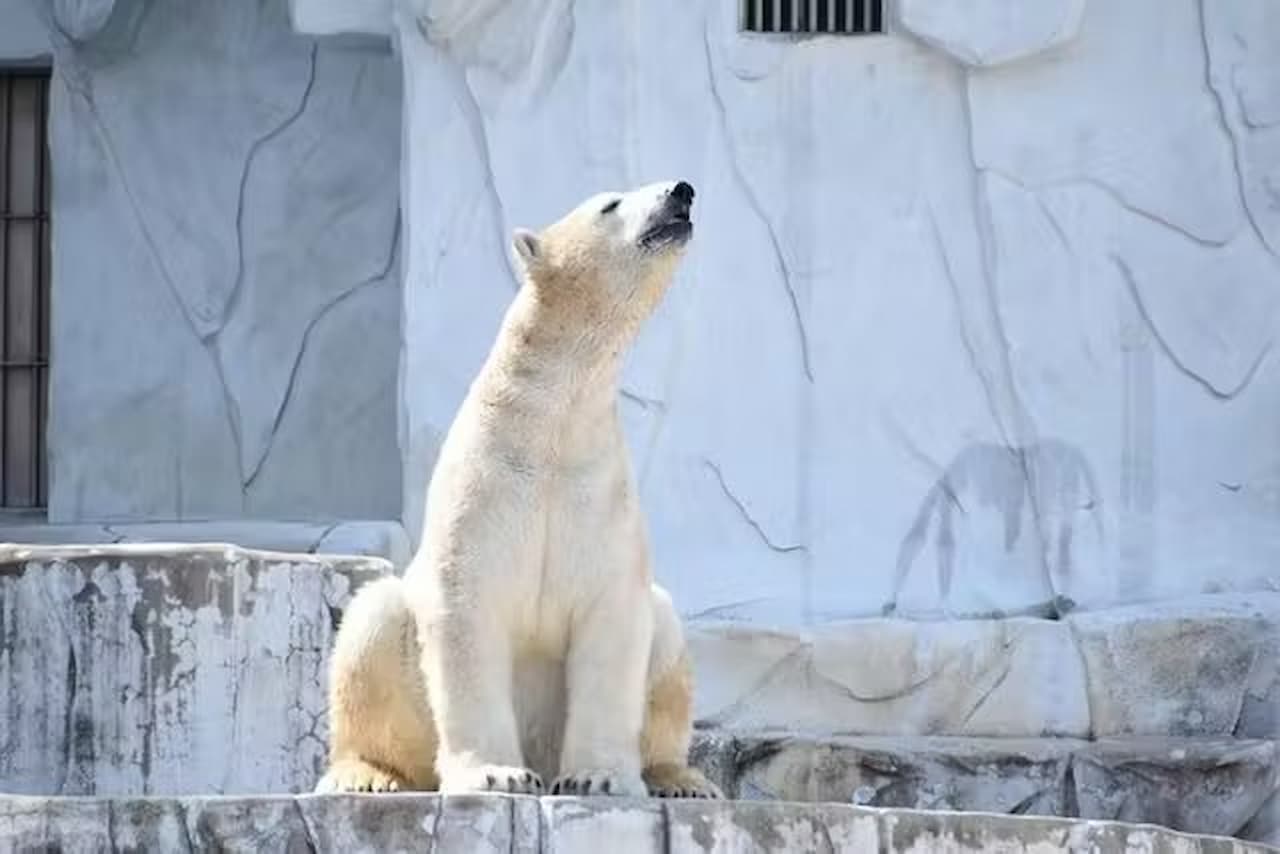 Nagoya-City Higashiyama Zoo and Botanical Gardens - تصویر اصلی