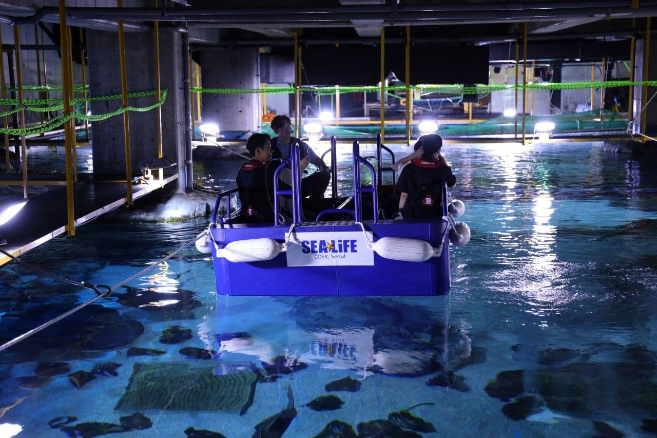 SEA LIFE COEX, Seoul Aquarium Ticket - تصویر 18
