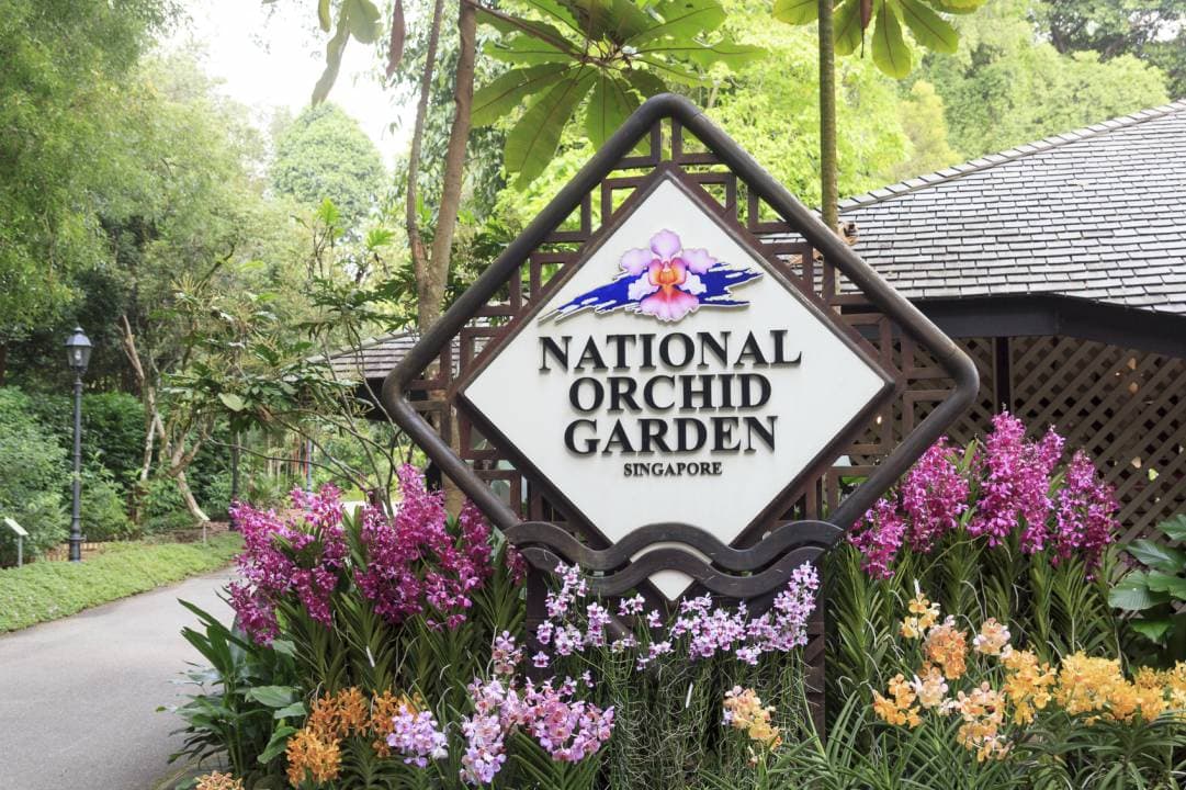 National Orchid Garden Ticket - تصویر اصلی