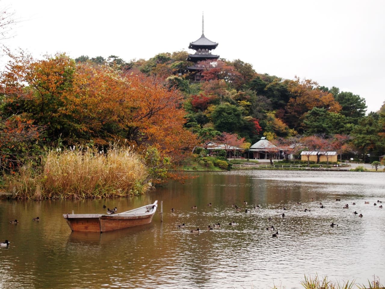 Sankeien Garden Ticket - تصویر 6