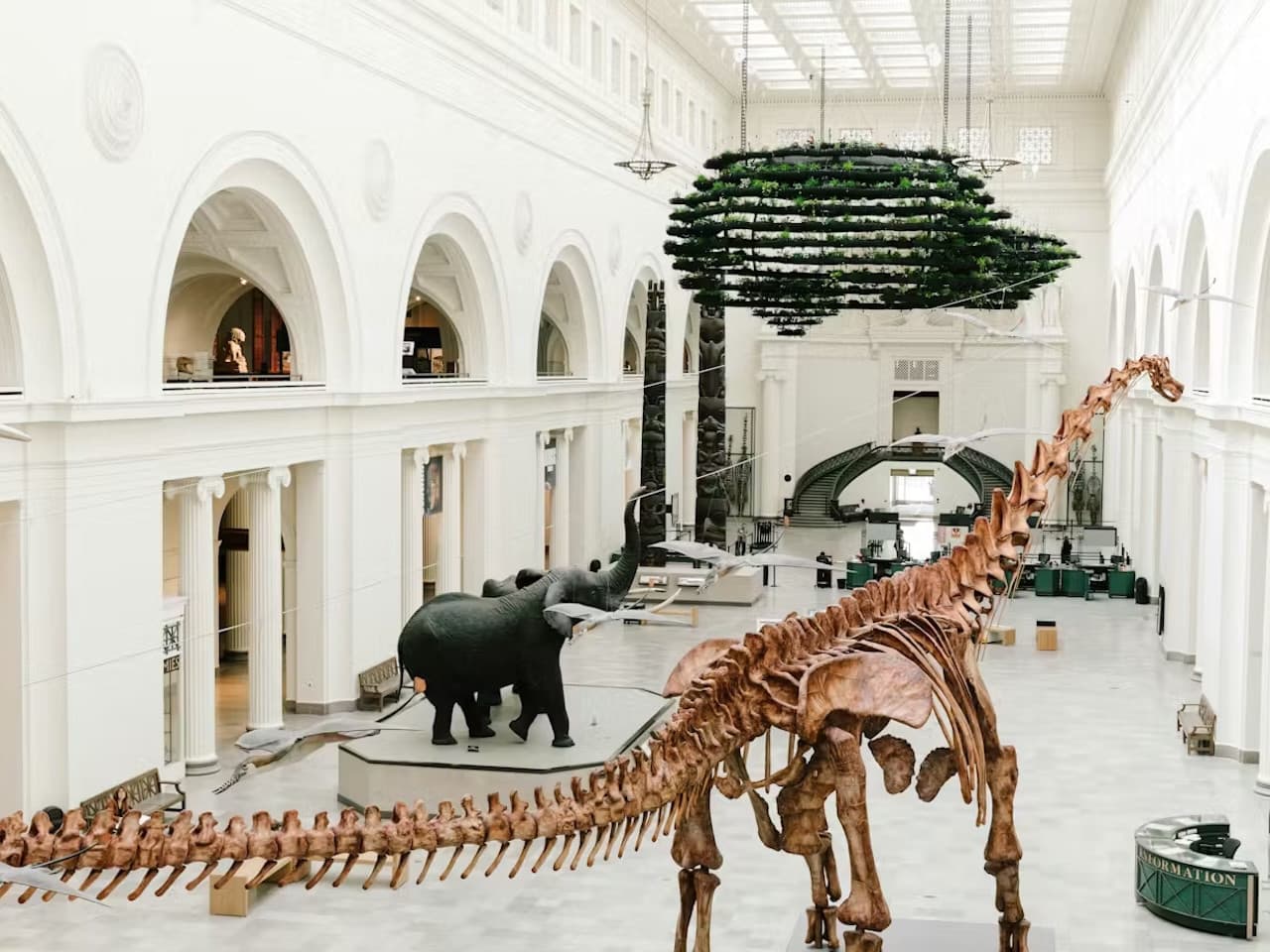 The Field Museum of Natural History Ticket - تصویر 6