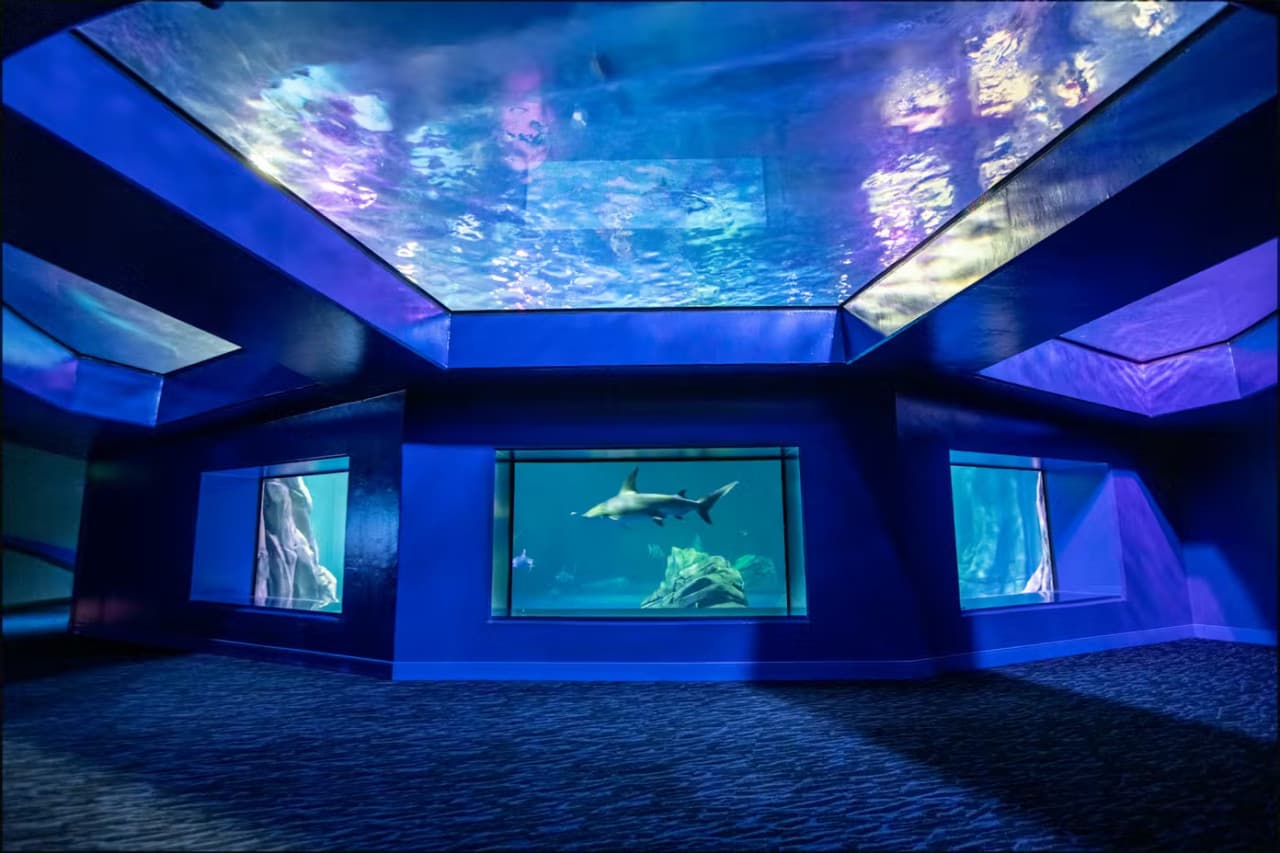 Georgia Aquarium: Fast Track Ticket - تصویر 11