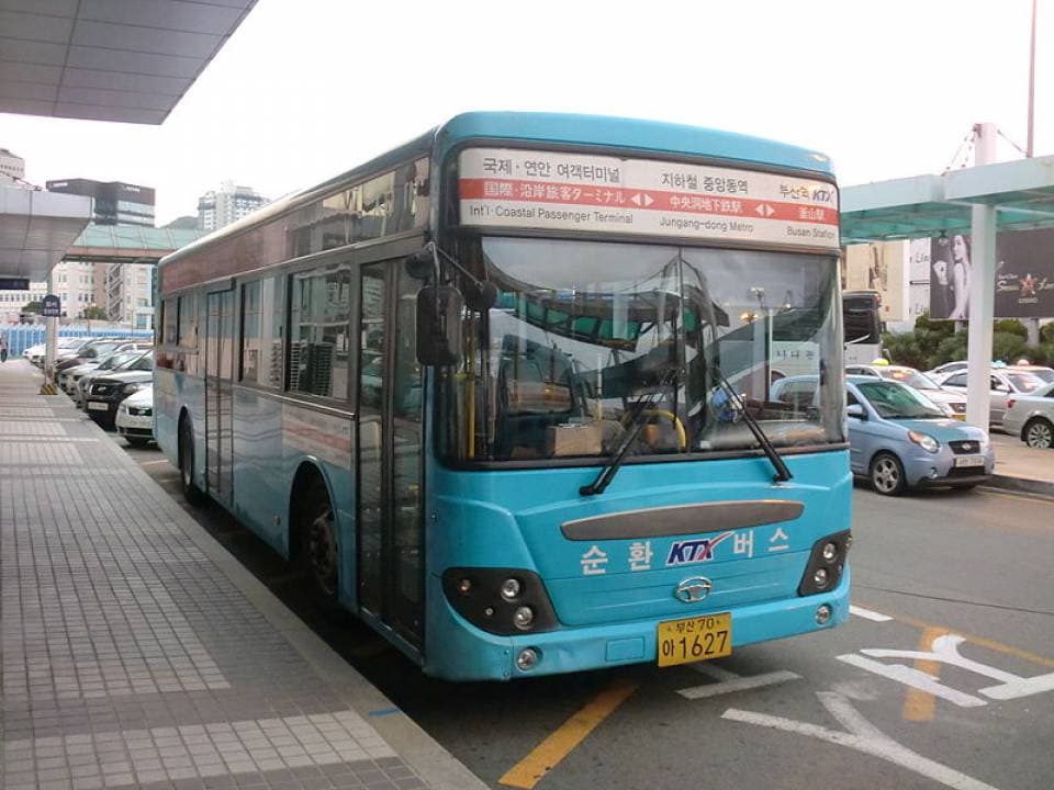 Nami Island Shuttle Bus Transfers from Seoul - تصویر 6
