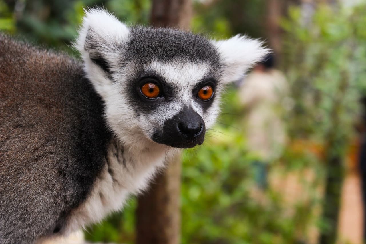 London Zoo - تصویر 3