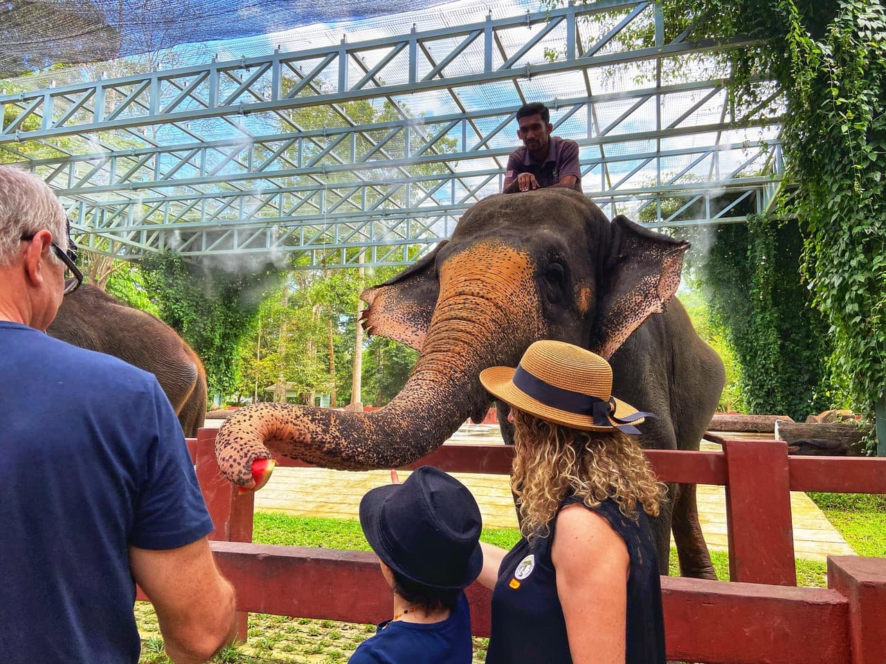 Batu Caves and Kuala Gandah Elephant Sanctuary Full-Day Tour from Kuala Lumpur - تصویر 7