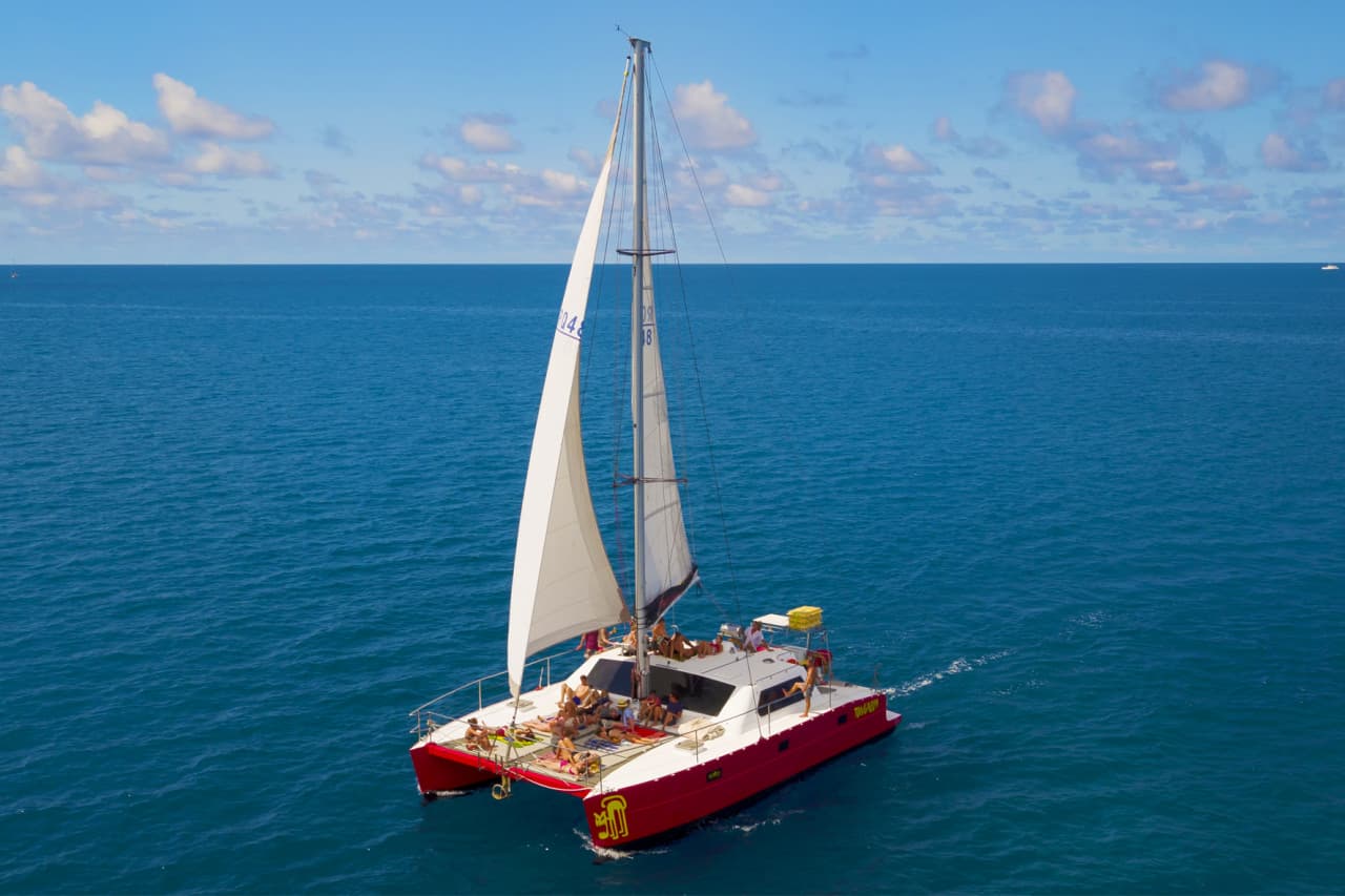 Tongarra Day Sailing Tour - تصویر 15