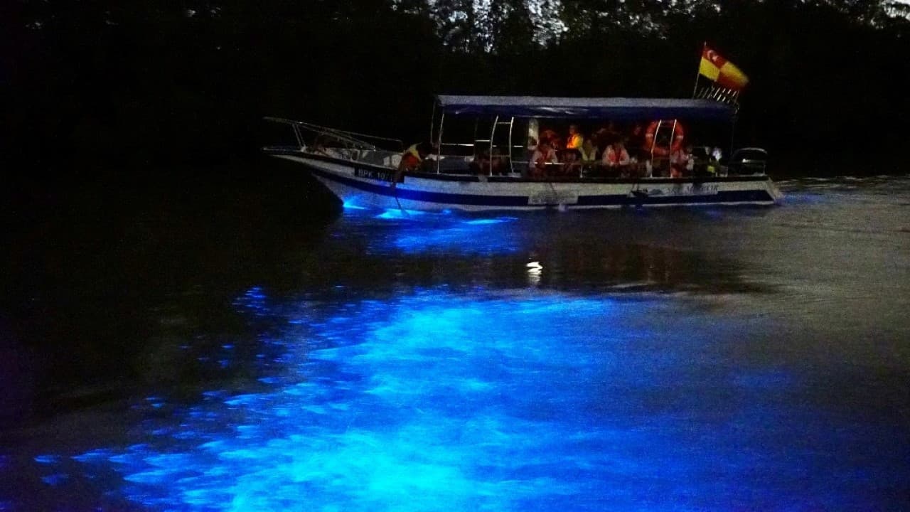Blue Tears Boat Cruise in Kuala Selangor - تصویر 2