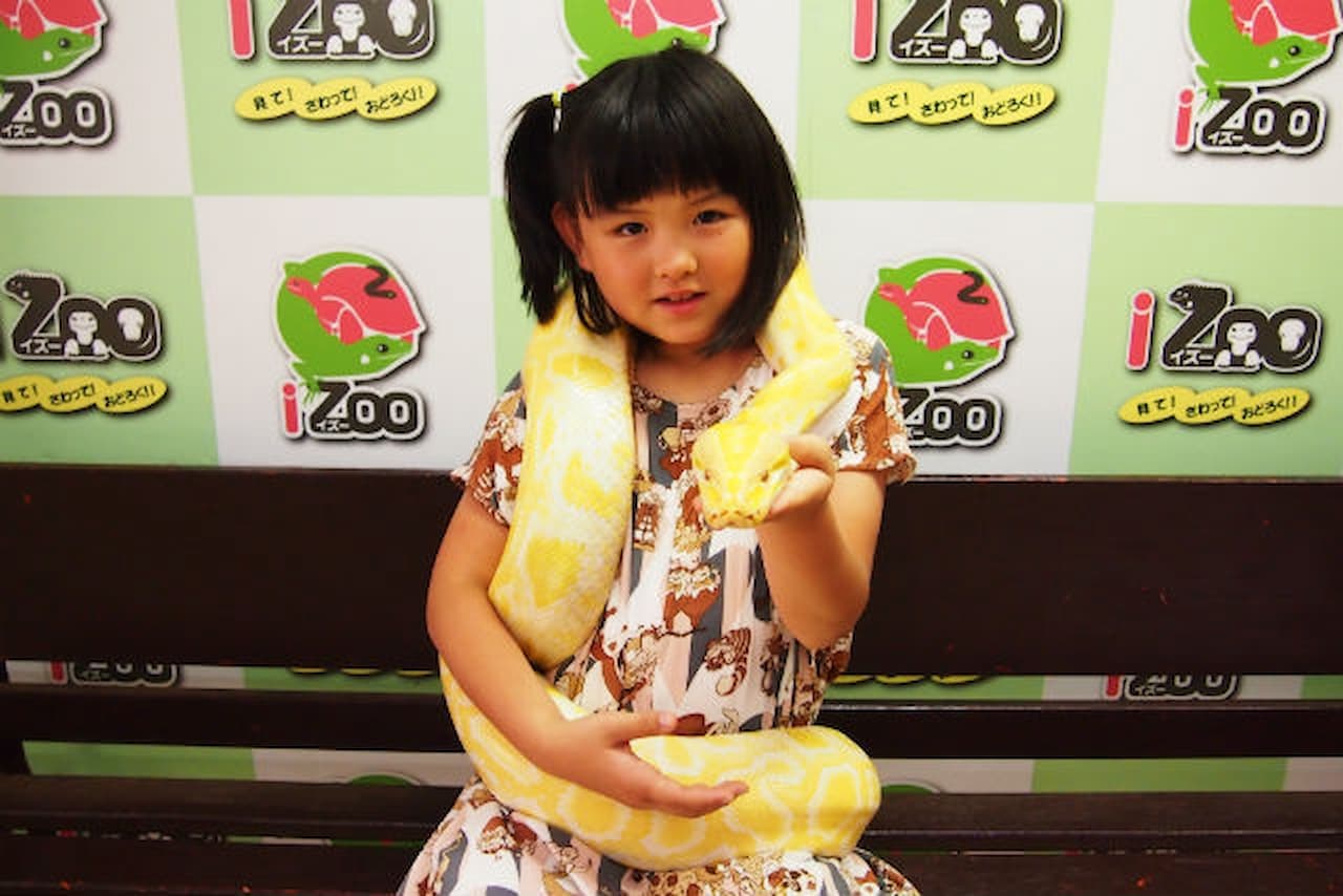 iZoo Sensory Zoo Ticket - تصویر 6