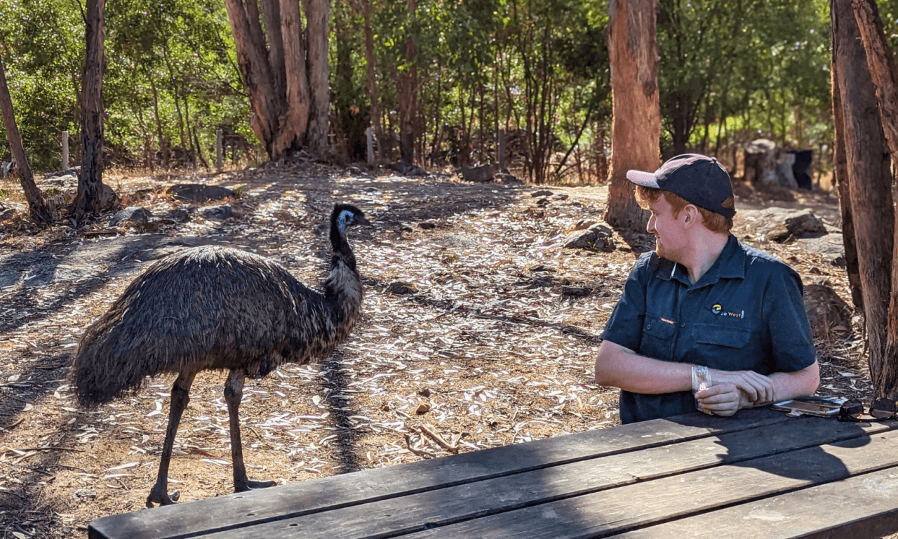 Grampians National Park Day Tour from Melbourne - تصویر 10