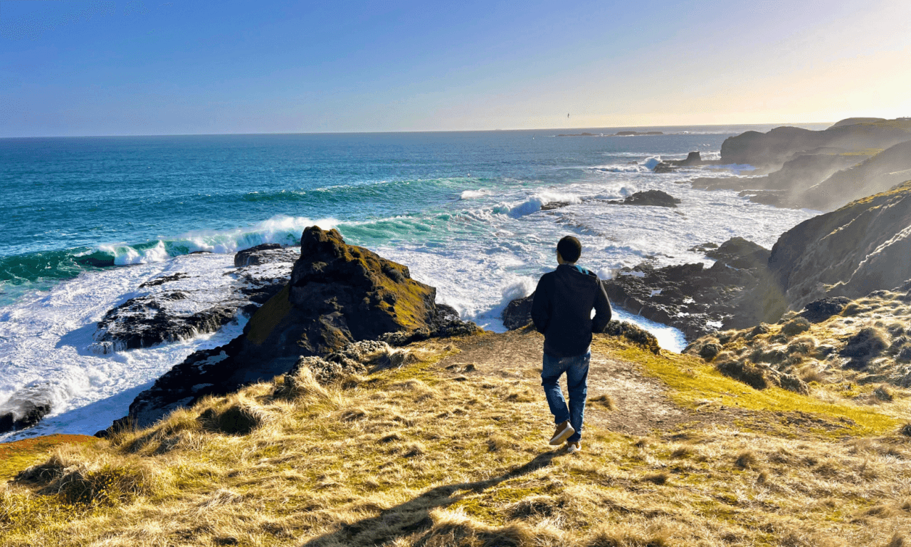 Penguins Express Tour from Melbourne - تصویر 12