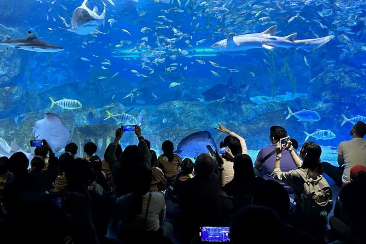 SEA LIFE COEX, Seoul Aquarium Ticket - تصویر 4