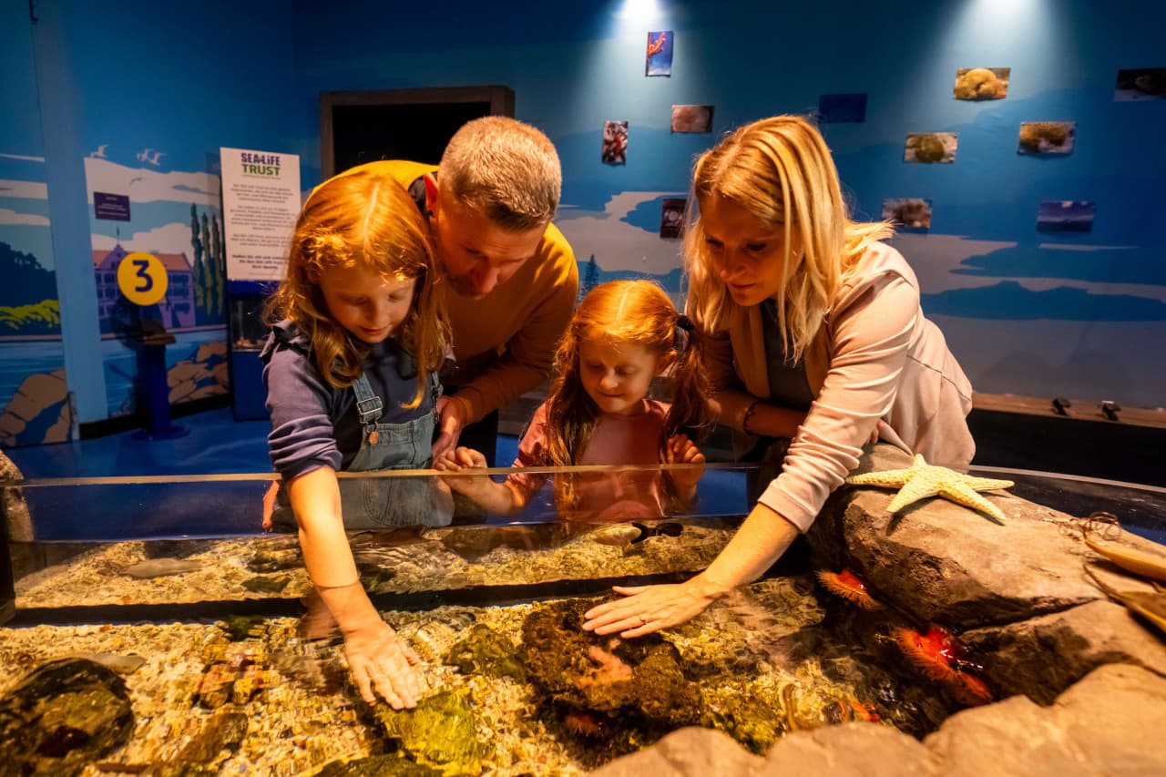 SEA LIFE Konstanz Aquarium Ticket - تصویر 3