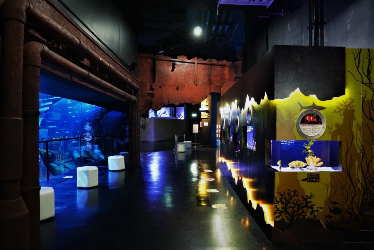Aquaria Phuket - تصویر 8