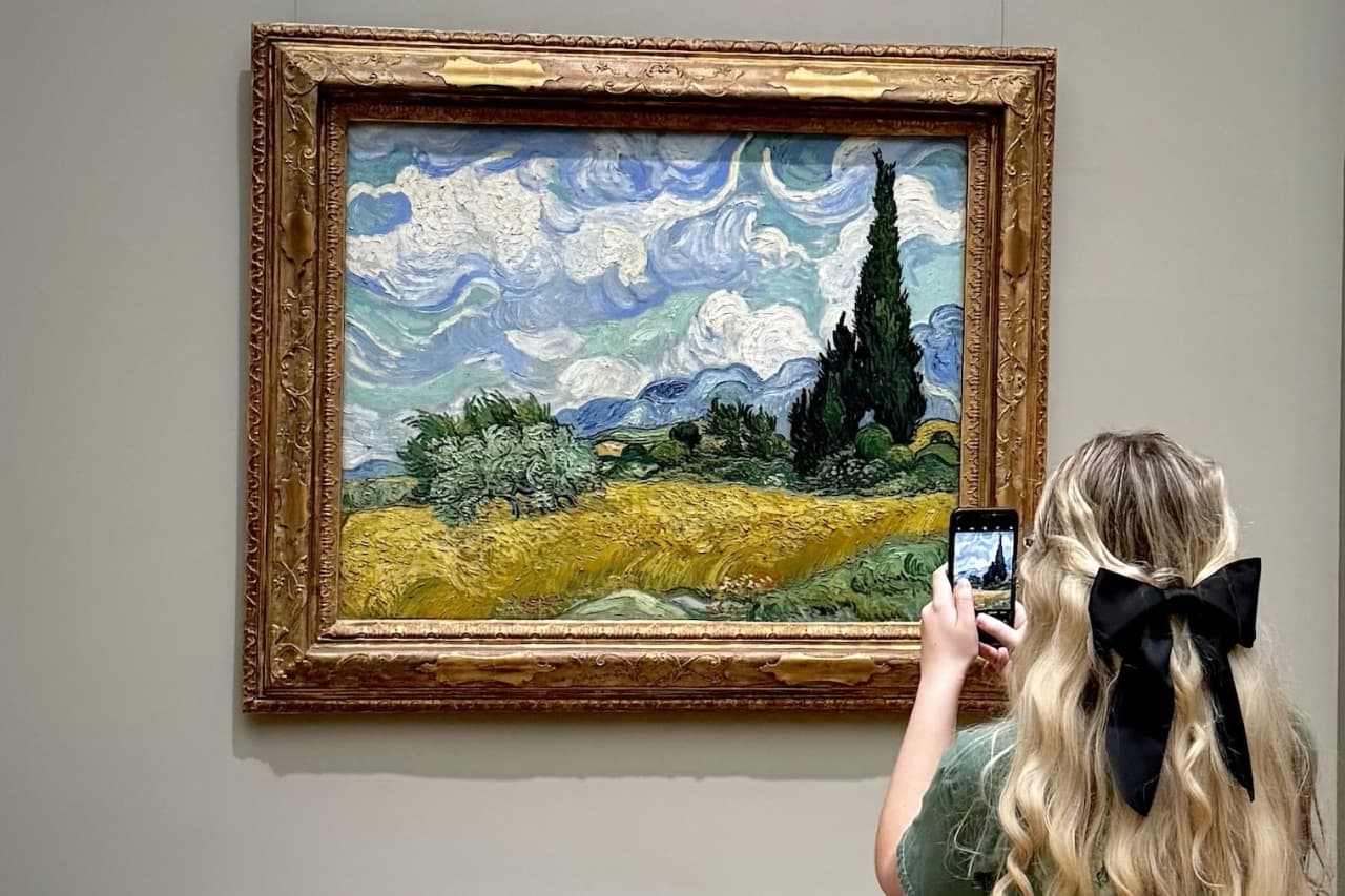 NYC Metropolitan Museum of Art: Guided or Self-Guided Tour - تصویر 12