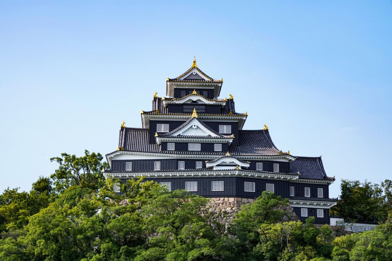 Okayama Castle Ticket - تصویر 4