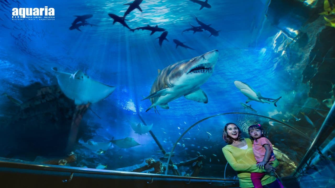 Aquaria KLCC Ticket - تصویر اصلی
