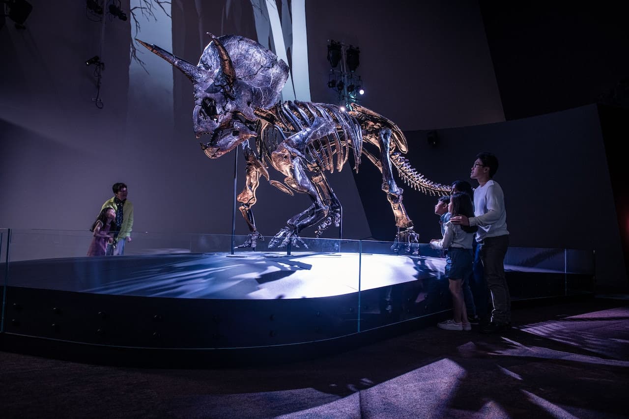 Melbourne Museum - تصویر اصلی