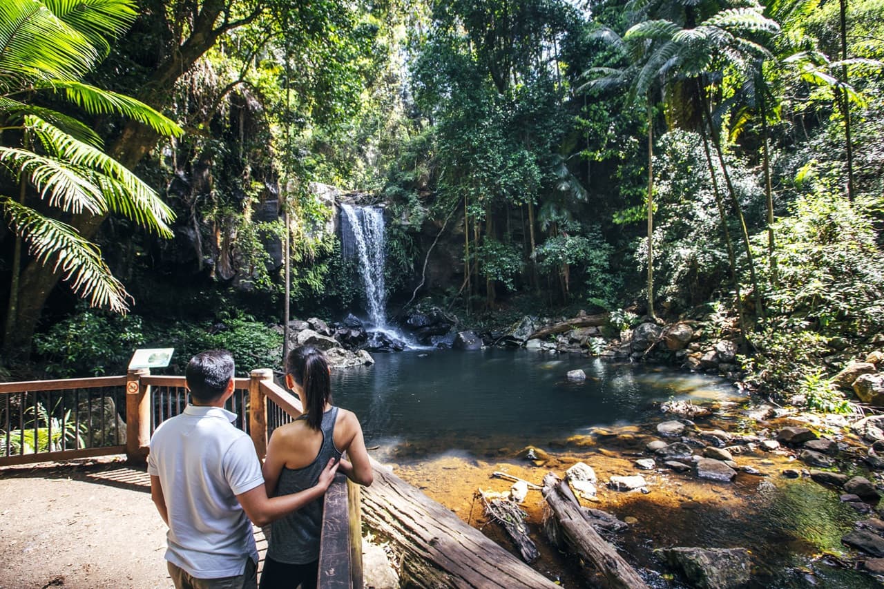 Tamborine Mountain Guided Walk and Wine Tasting Tour - تصویر 6