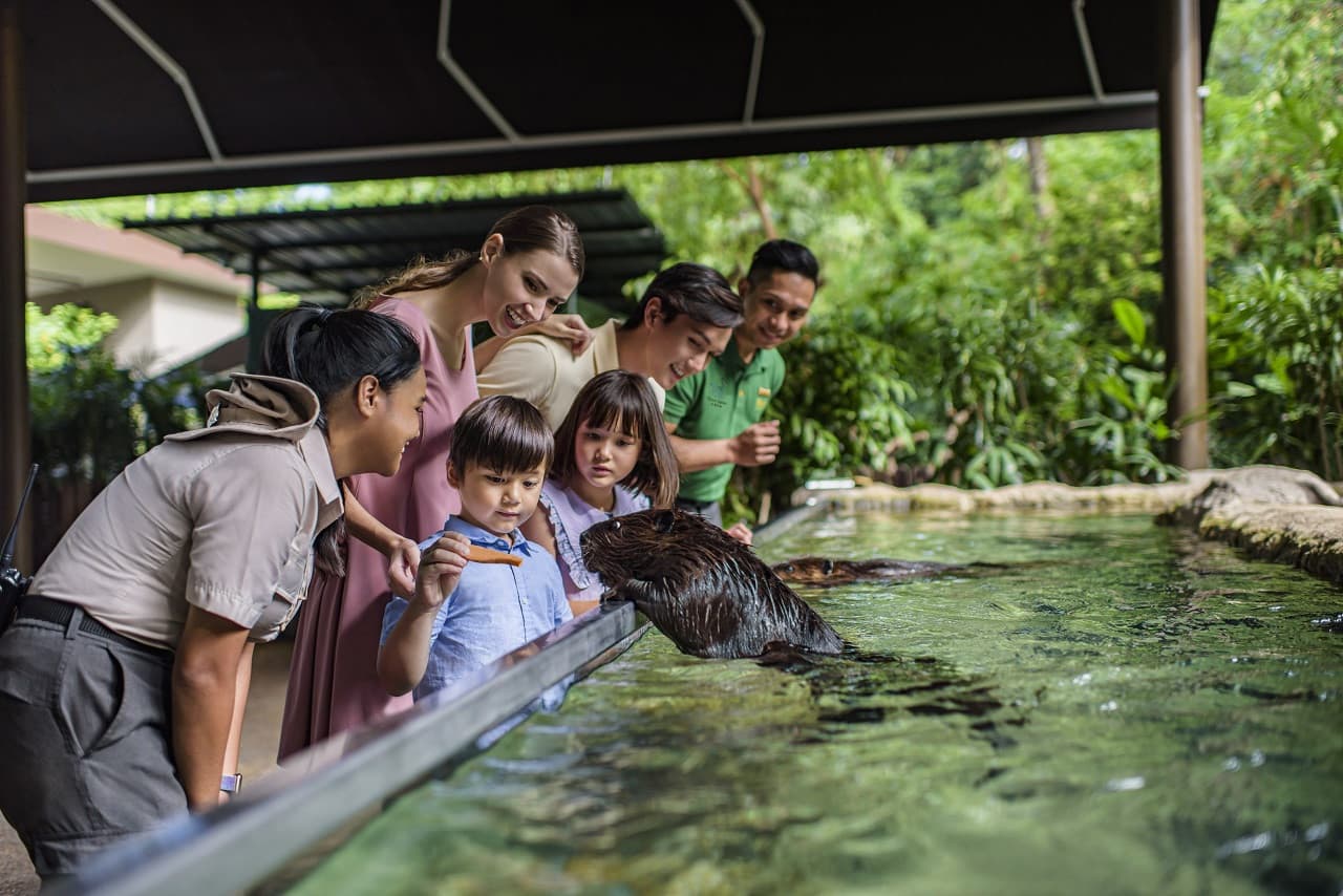 COMBO: Singapore Zoo + River Wonders Ticket - تصویر 16