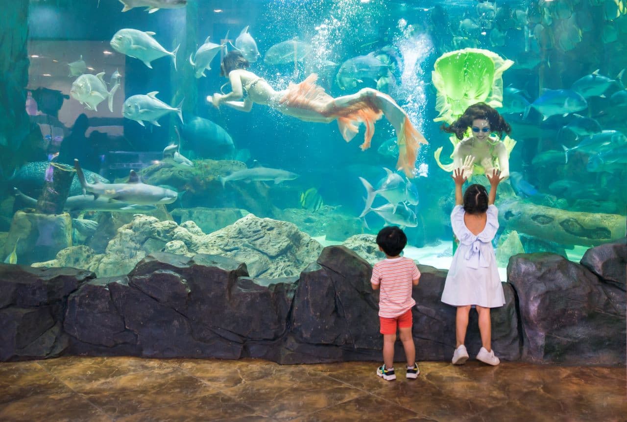 Vinpearl Aquarium Times City Hanoi Ticket - تصویر اصلی