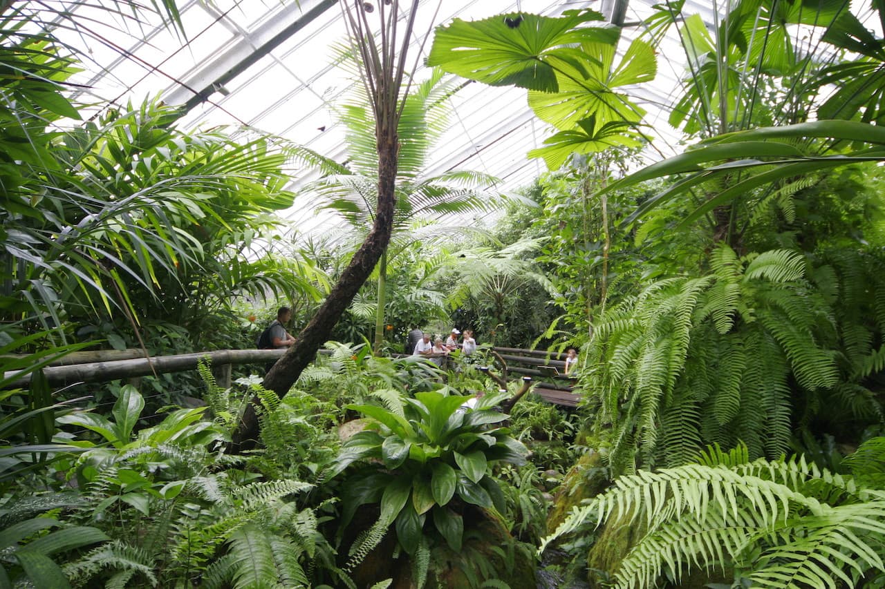 Australian Butterfly Sanctuary - تصویر 7