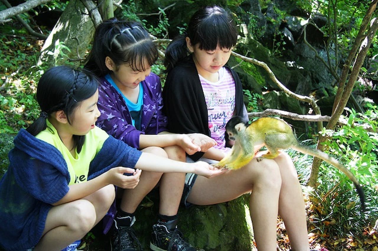 Izu Shaboten Zoo Ticket - تصویر 4