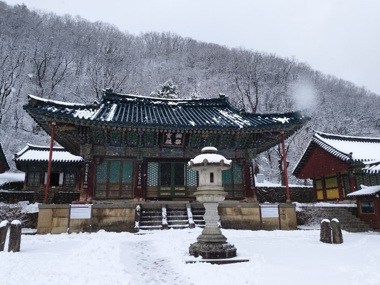 Nami Island, Mount Seorak, and Garden of Morning Calm Full-Day Tour from Seoul - تصویر 20