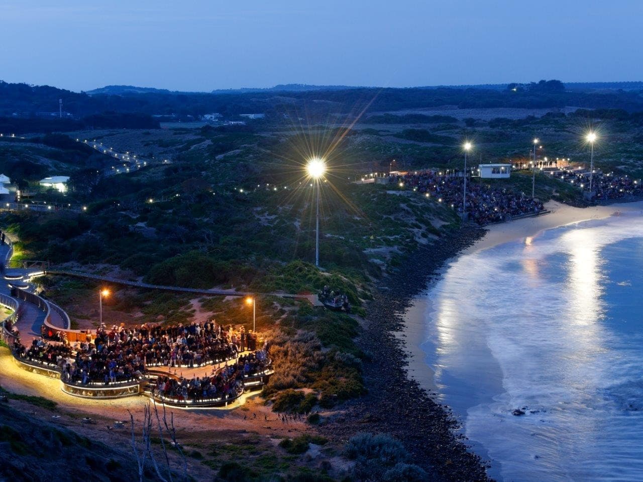 Phillip Island Nature Parks - Penguin Parade Ticket - تصویر 10