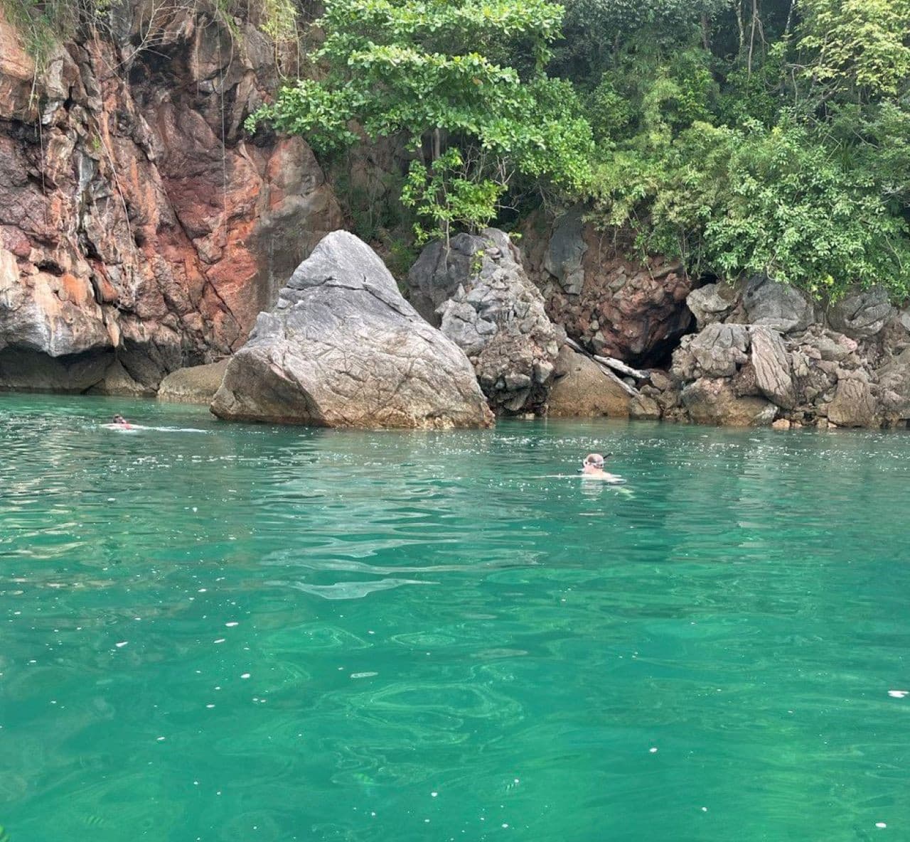 Langkawi Mangrove River Cruise and Snorkeling - تصویر 6