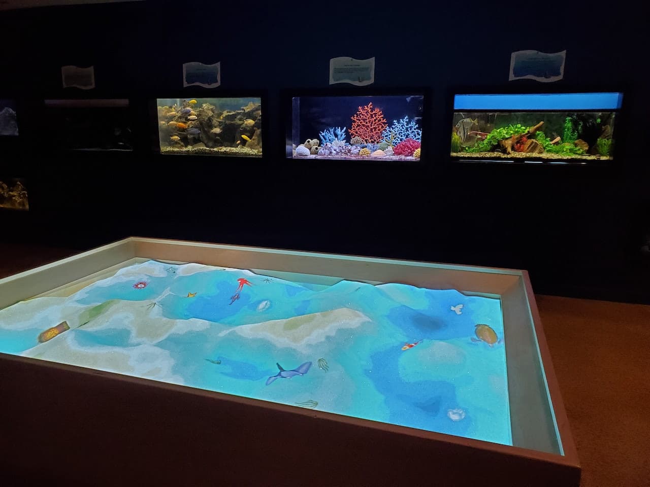 Las Vegas Natural History Museum - تصویر 3