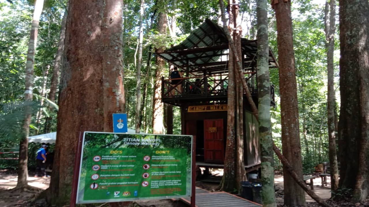 Taman Negara National Park Tour from Kuala Lumpur - تصویر 2