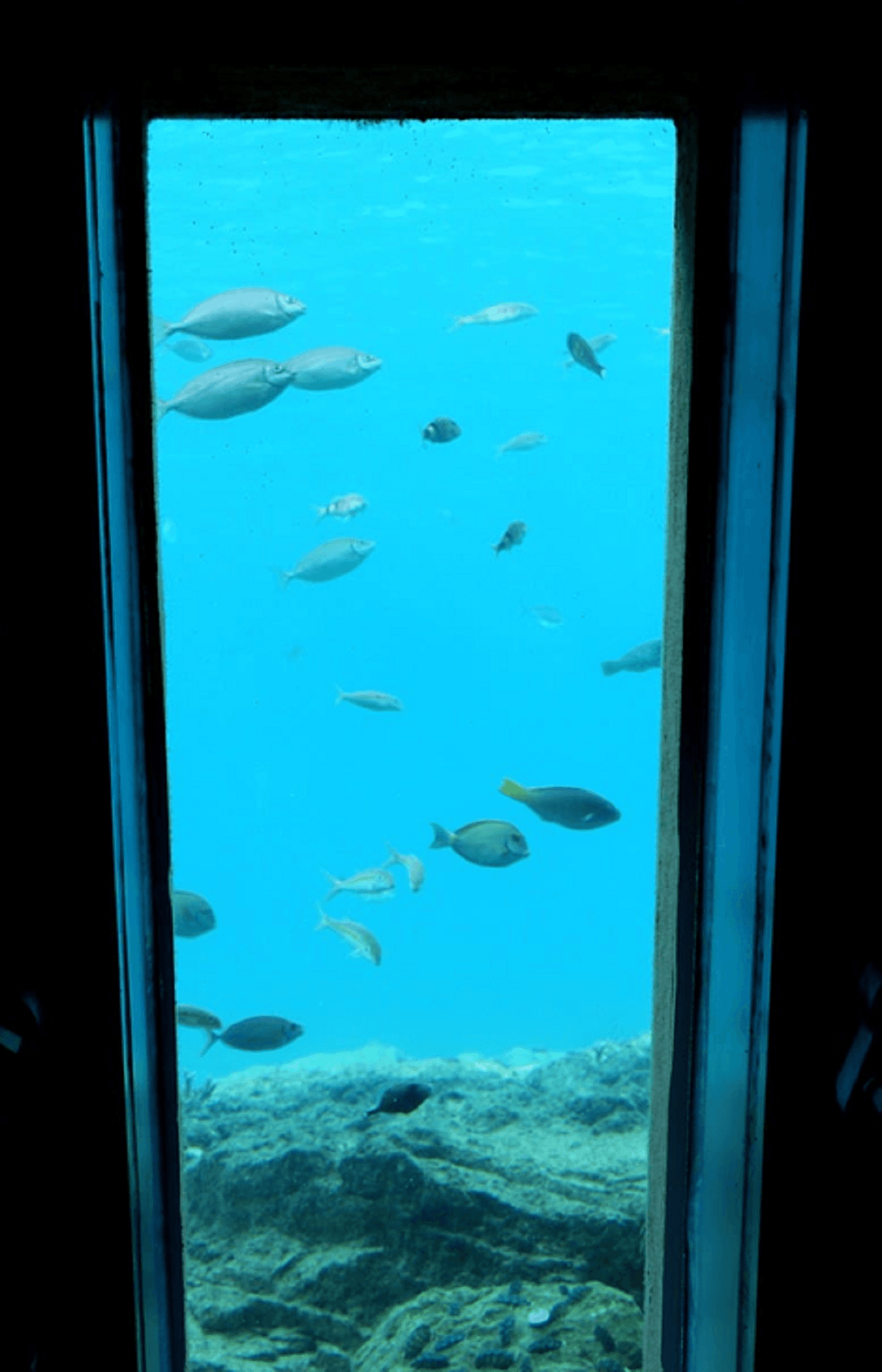 Okinawa Miyakojima Undersea Park - تصویر 4