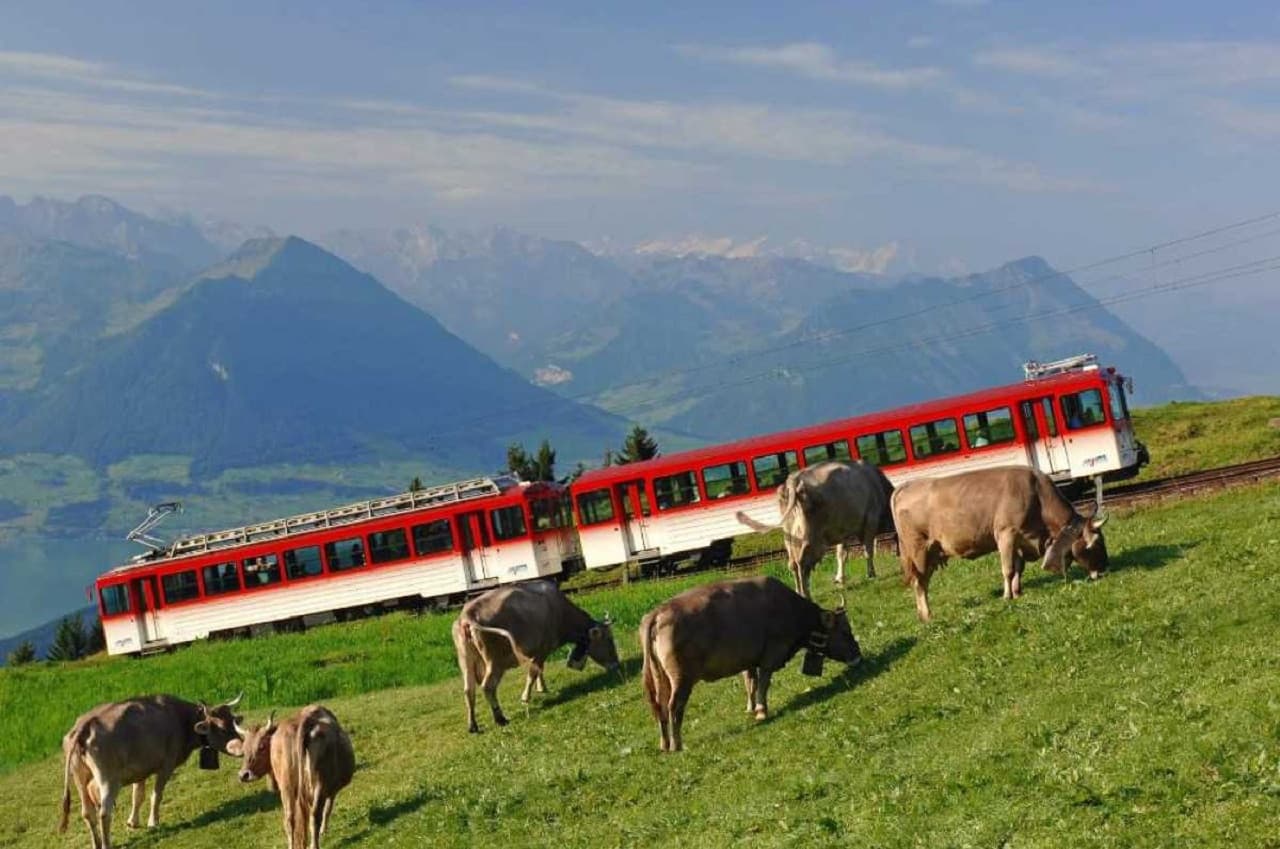 Mount Rigi Tour - تصویر 2